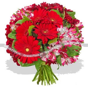 В гостях у Кармен В гостях у Кармен