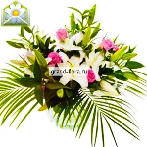 Утренний поцелуй Утренний поцелуй